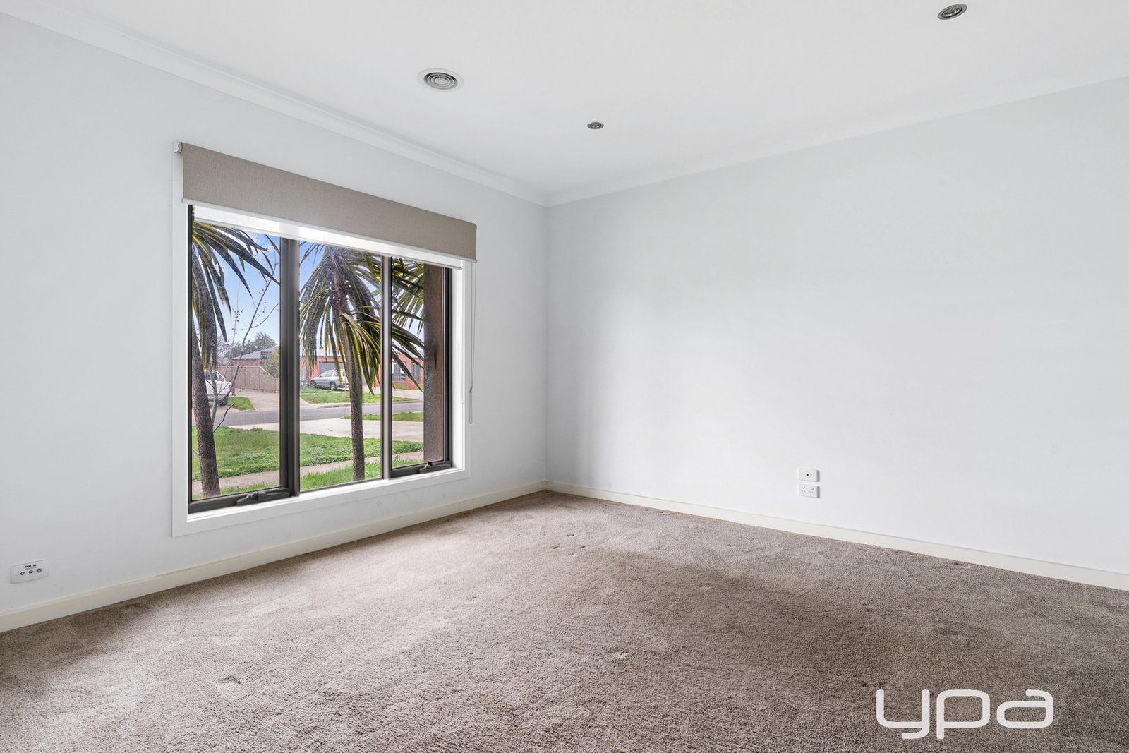 Gallery: 210 Kossuth Street