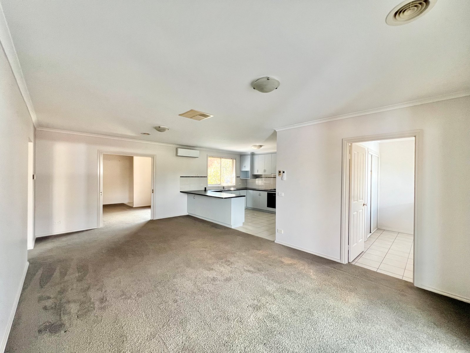 Gallery: 2/10 Myuna Street