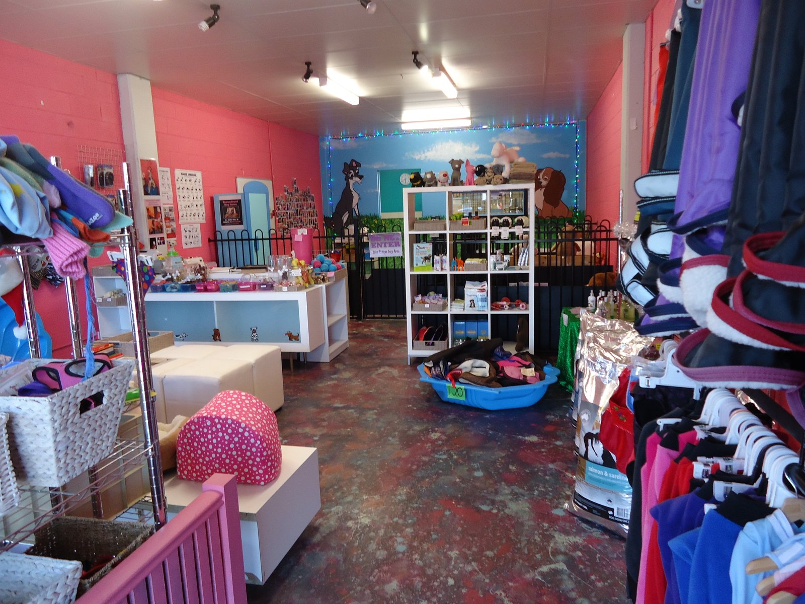 Gallery: 2/10 Park Road