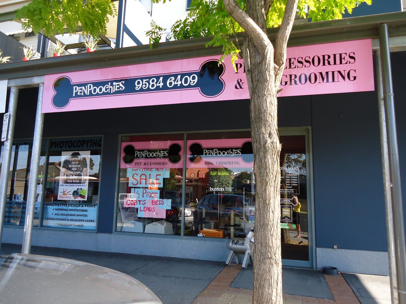 Gallery: 2/10 Park Road