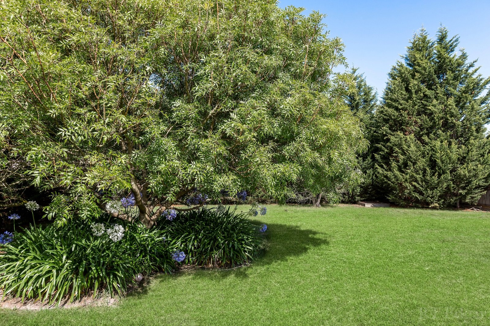 Real Estate and Property in 2/101 Helms Street, Newcomb, VIC