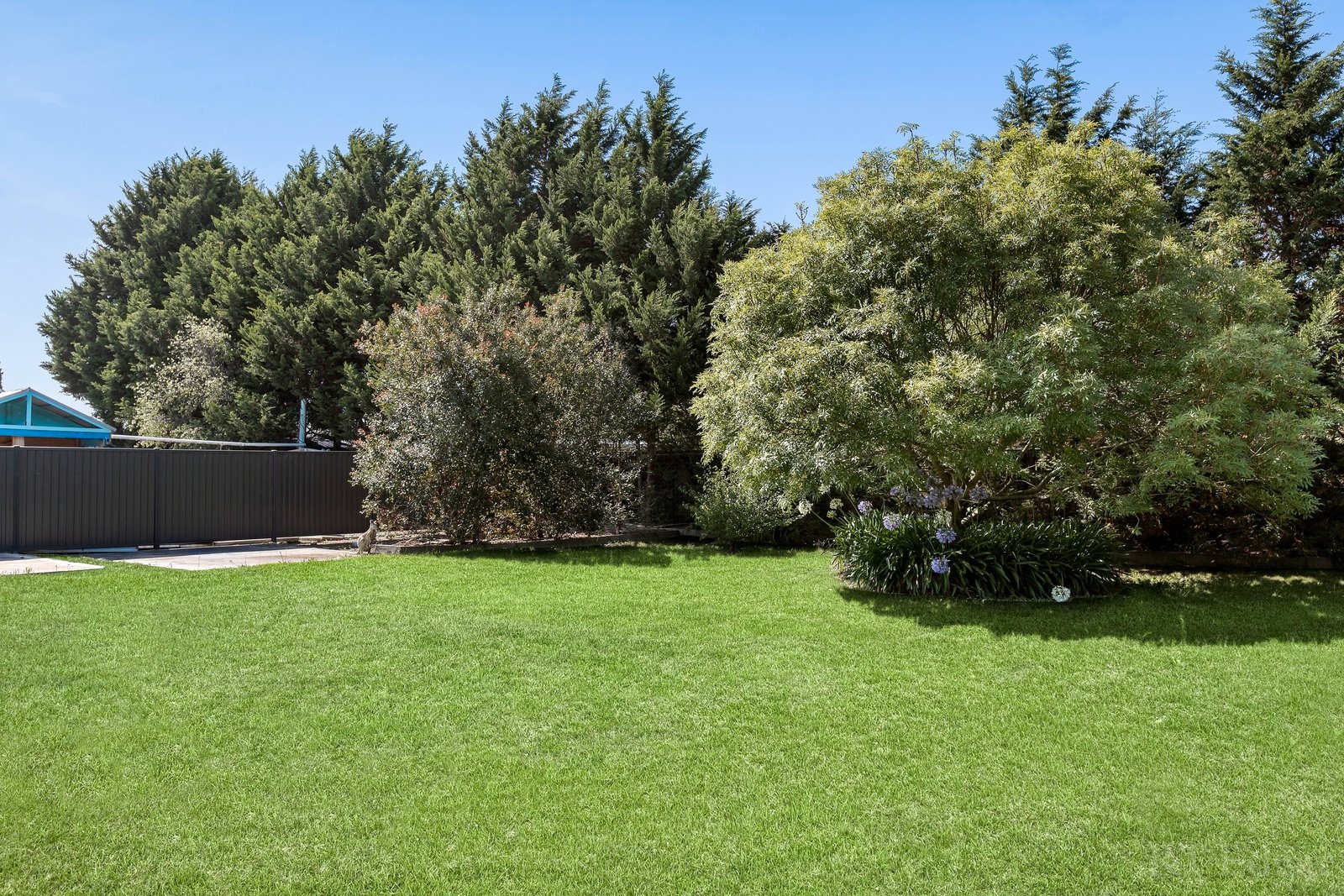 Real Estate and Property in 2/101 Helms Street, Newcomb, VIC