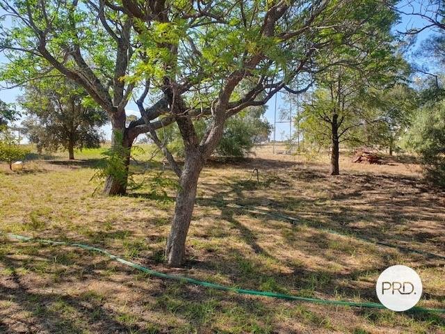 2108a Patchewollock-Tempy Road TEMPY 15