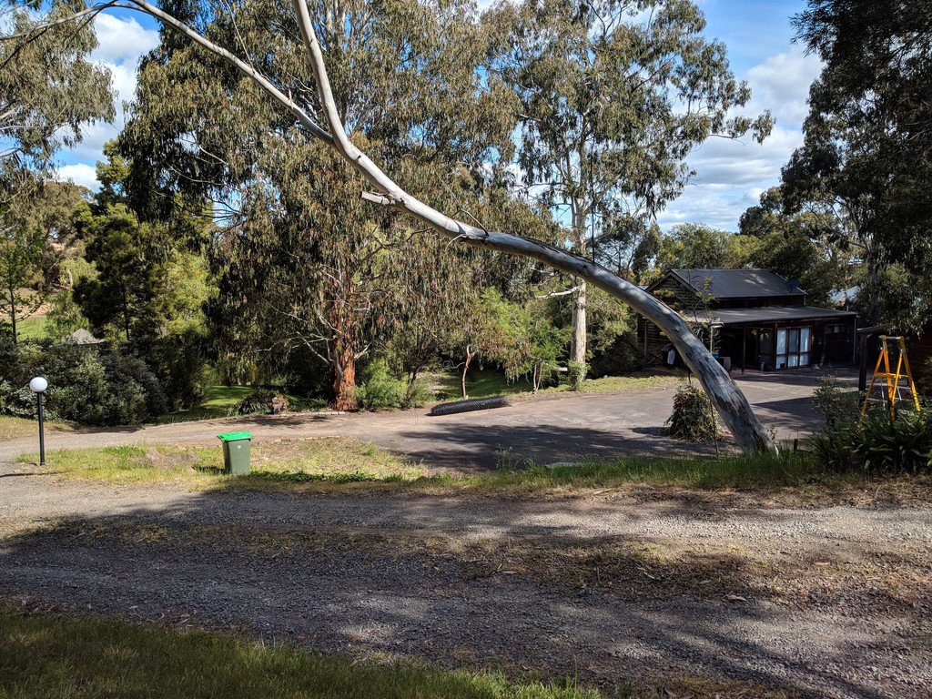 210A Sim Street (The Cottage) BLACK HILL 11