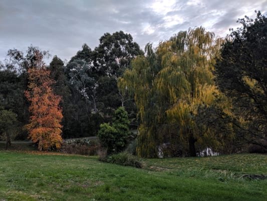 210A Sim Street (The Cottage) BLACK HILL 13