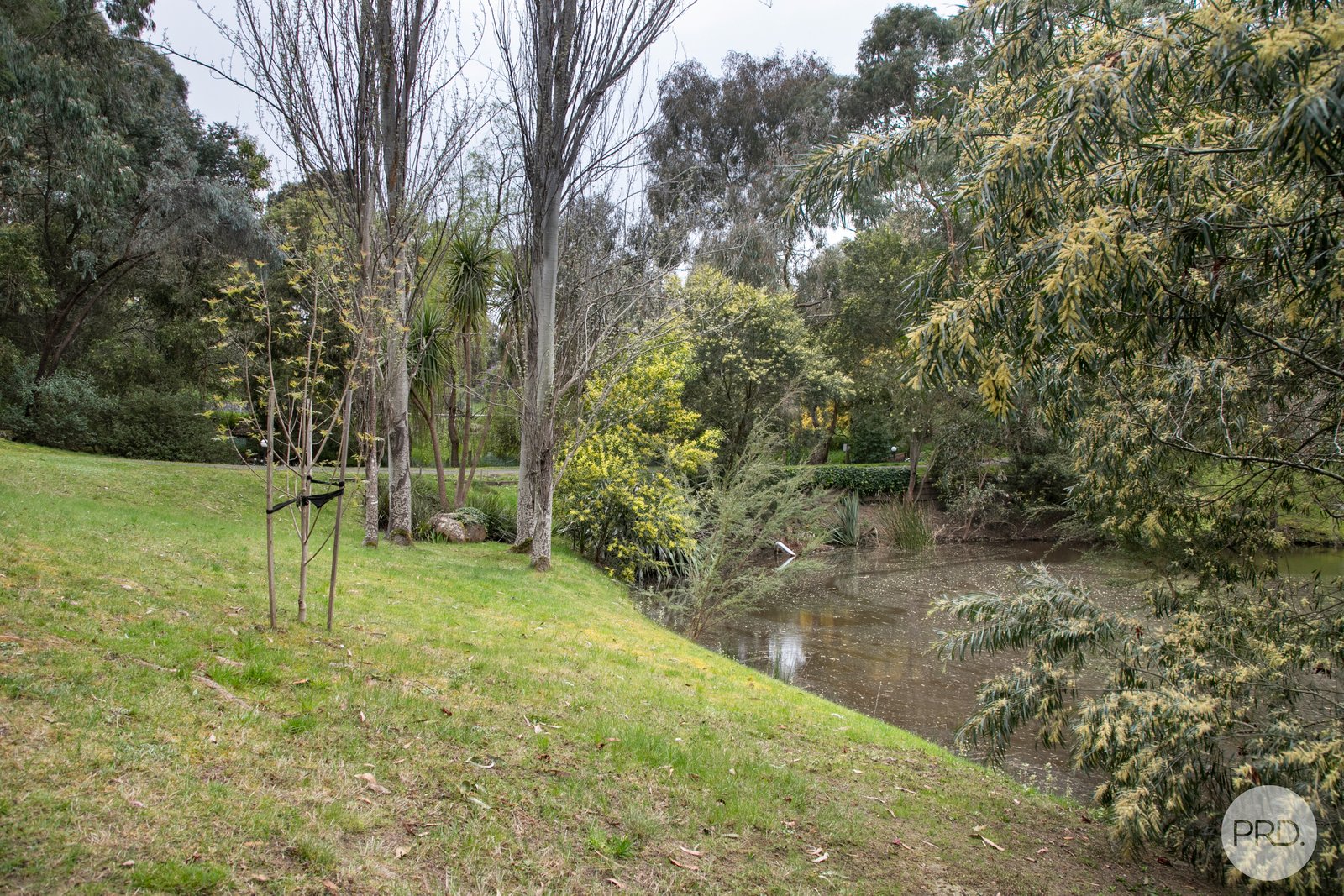 210A Sim Street (The Cottage)  BLACK HILL 14