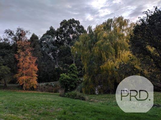 210A Sim Street (The Cottage)  BLACK HILL 13