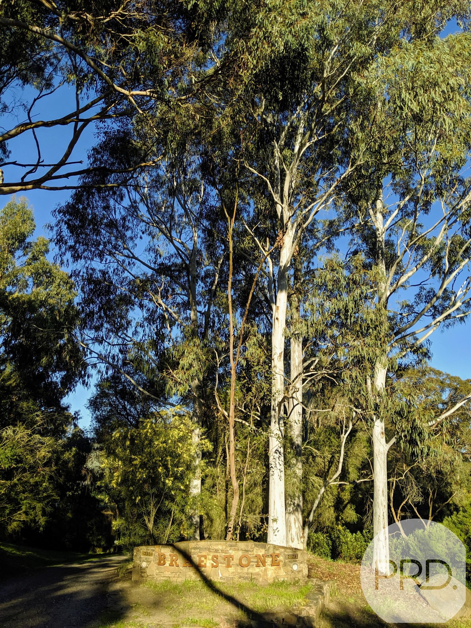 210A Sim Street (The Cottage)  BLACK HILL 14