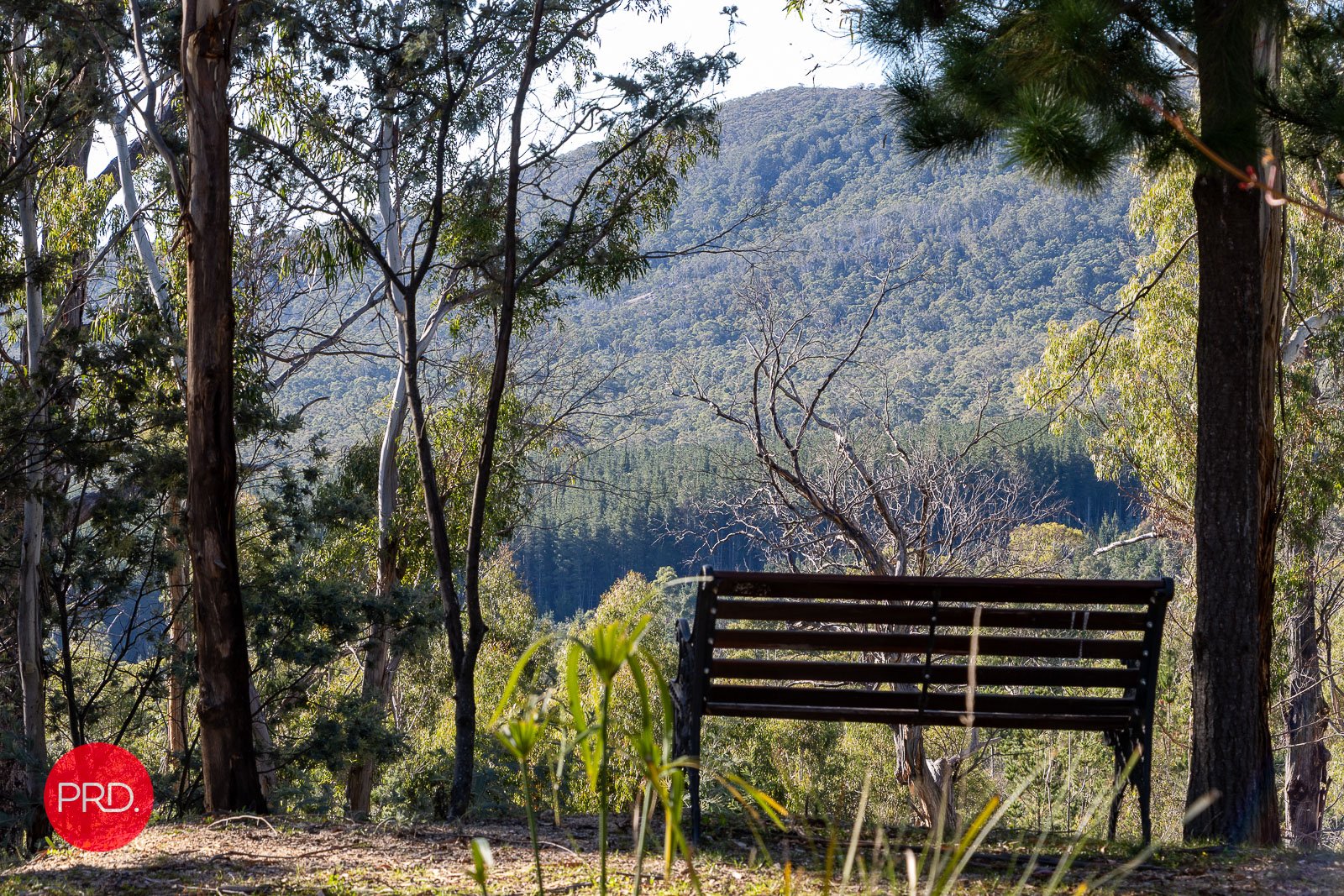 211 Foggy Forest Drive CAPTAINS FLAT 4