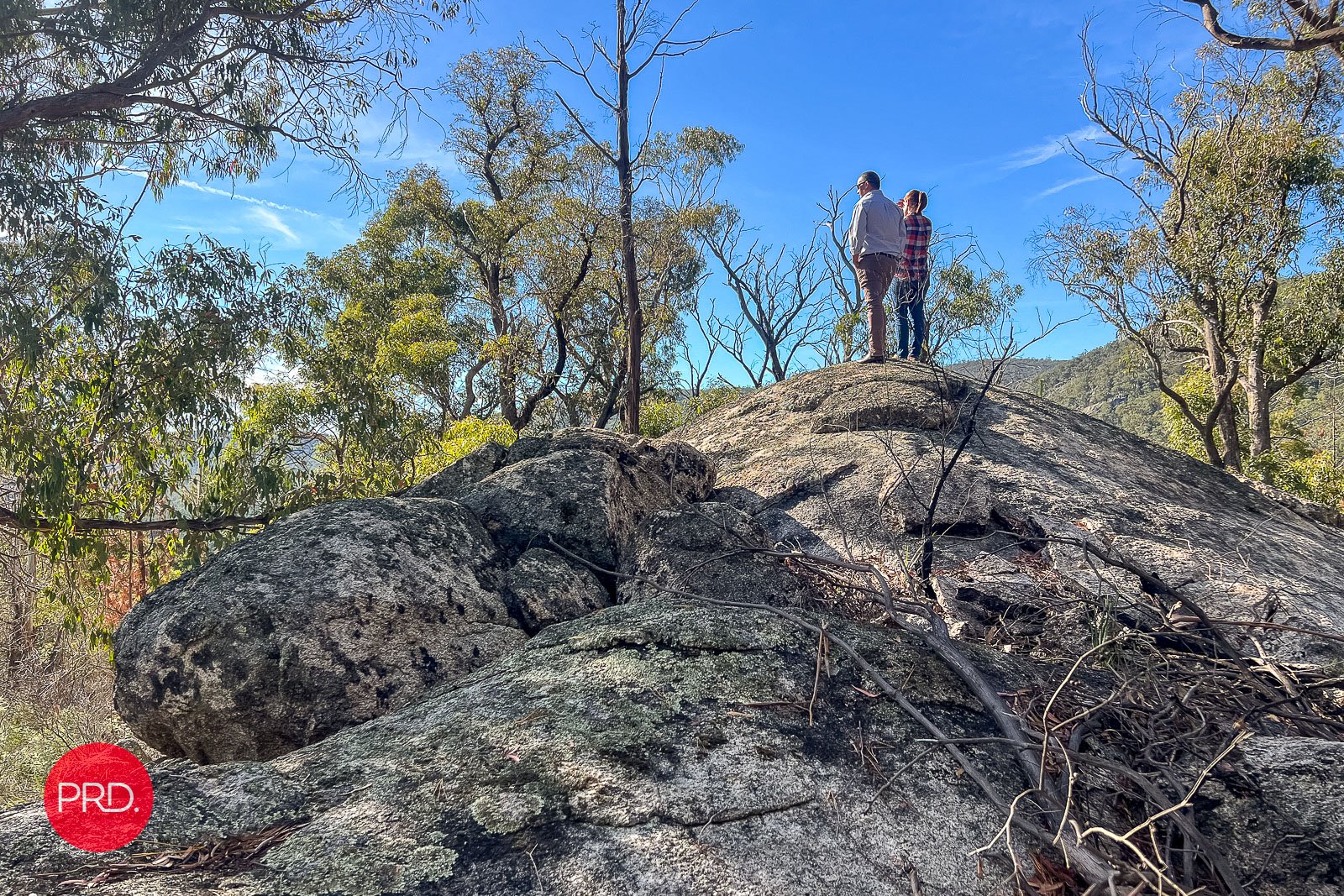 211 Foggy Forest Drive CAPTAINS FLAT 25