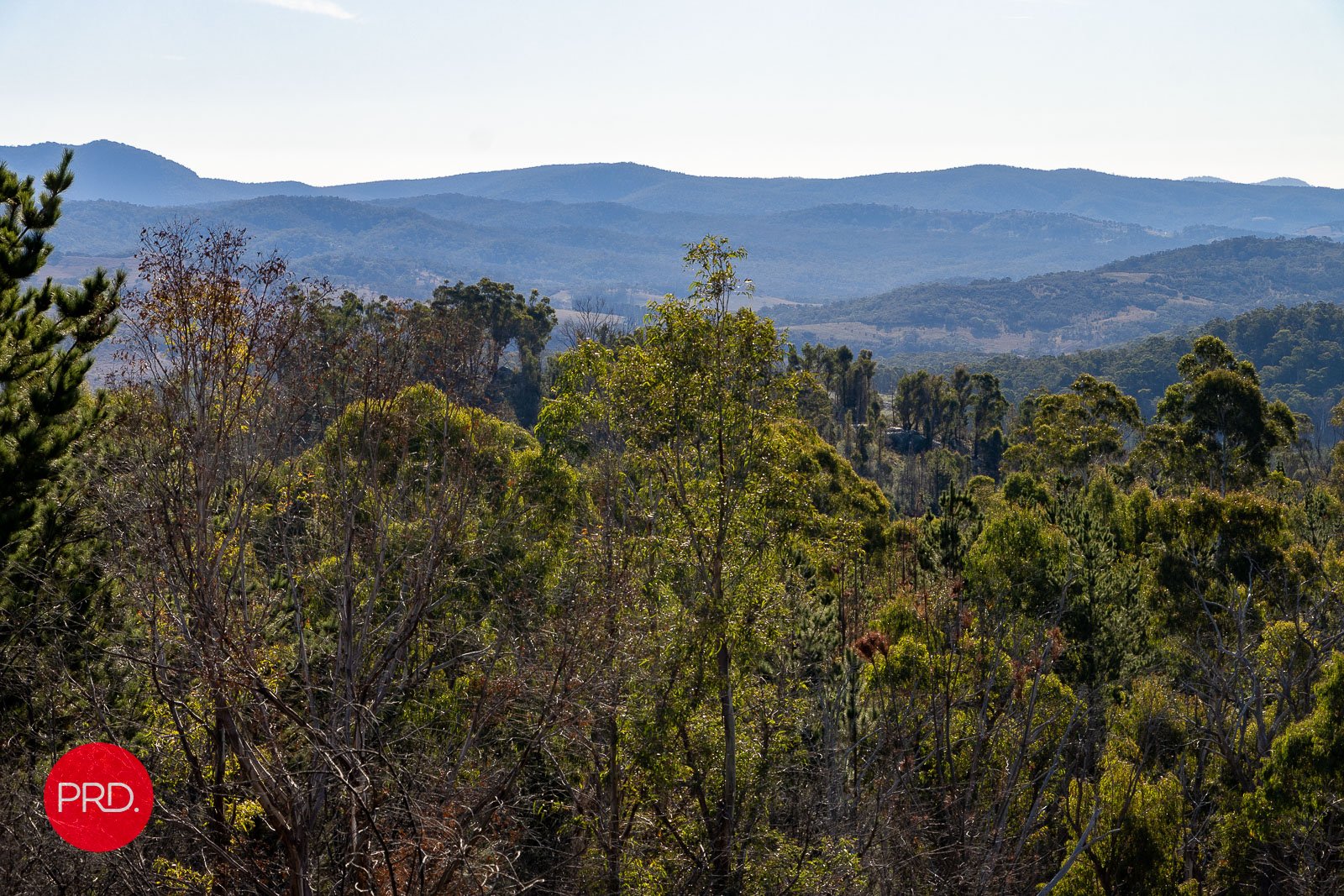 211 Foggy Forest Drive CAPTAINS FLAT 27