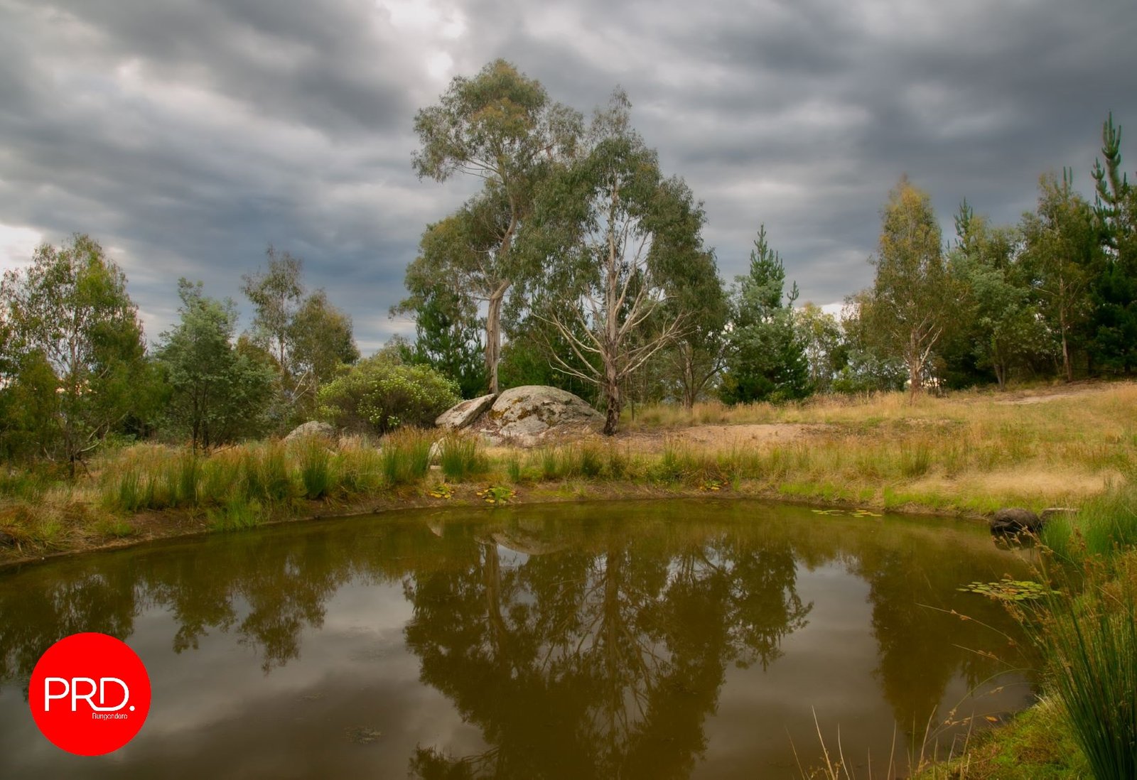 211 Foggy Forest Drive CAPTAINS FLAT 29