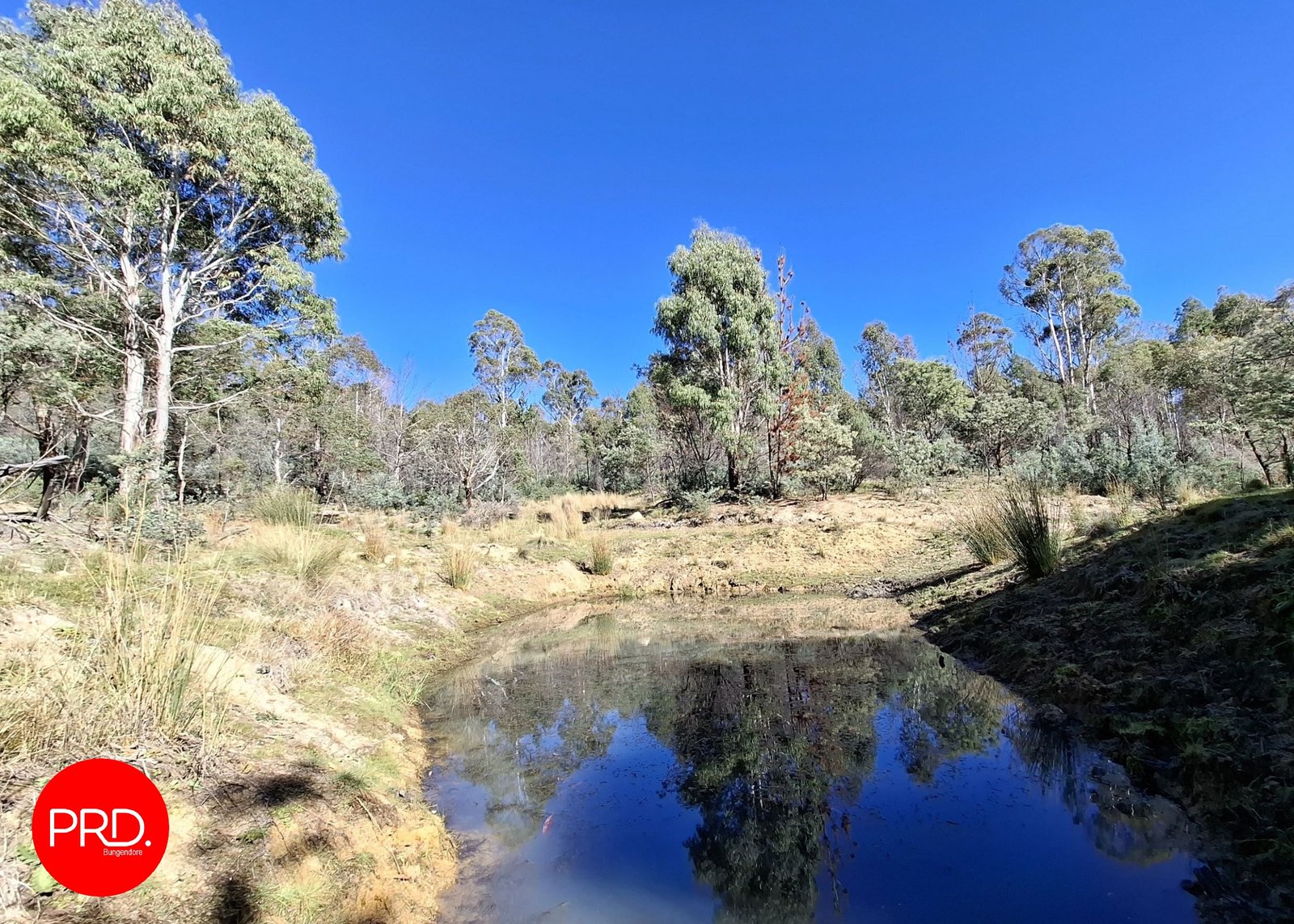 211 Foggy Forest Drive CAPTAINS FLAT 30