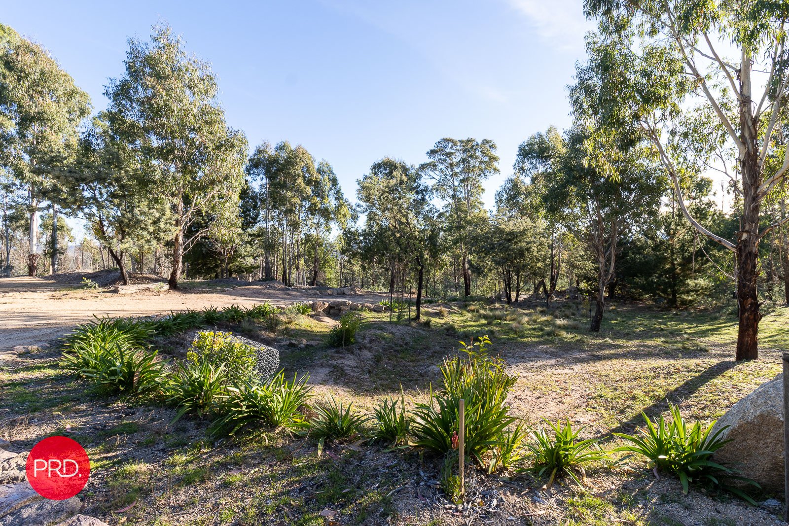 211 Foggy Forest Drive CAPTAINS FLAT 24