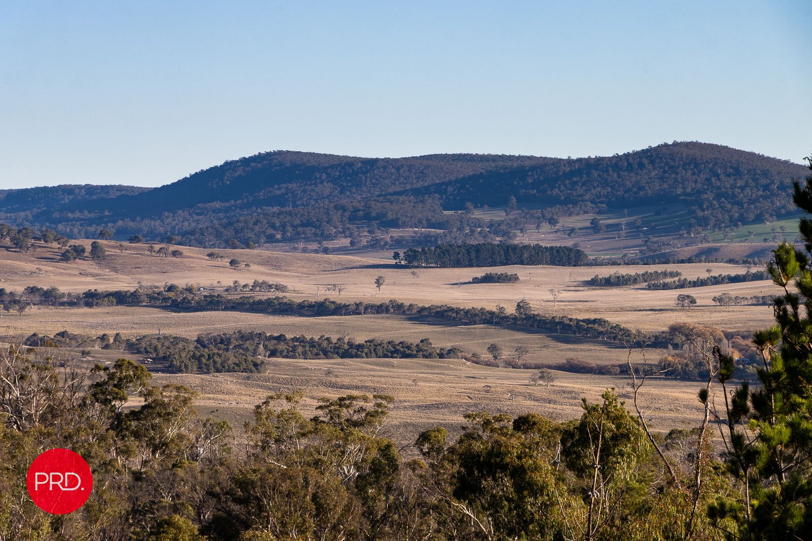 211 Foggy Forest Drive CAPTAINS FLAT 26