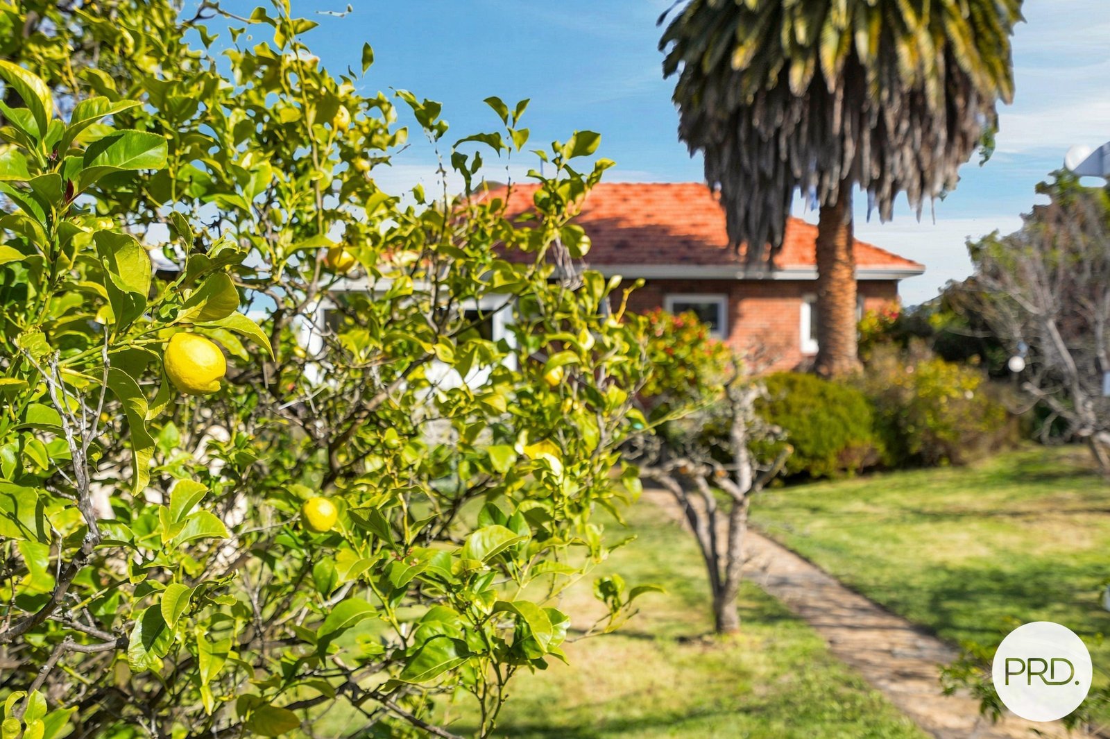 211 Gordons Hill Road LINDISFARNE 25
