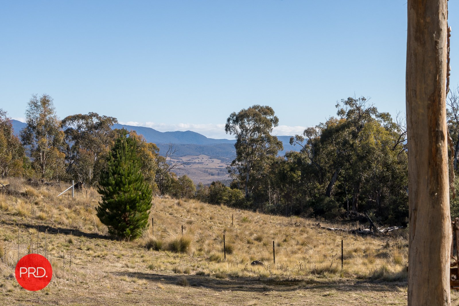 212 Foggy Forest Drive CAPTAINS FLAT 25
