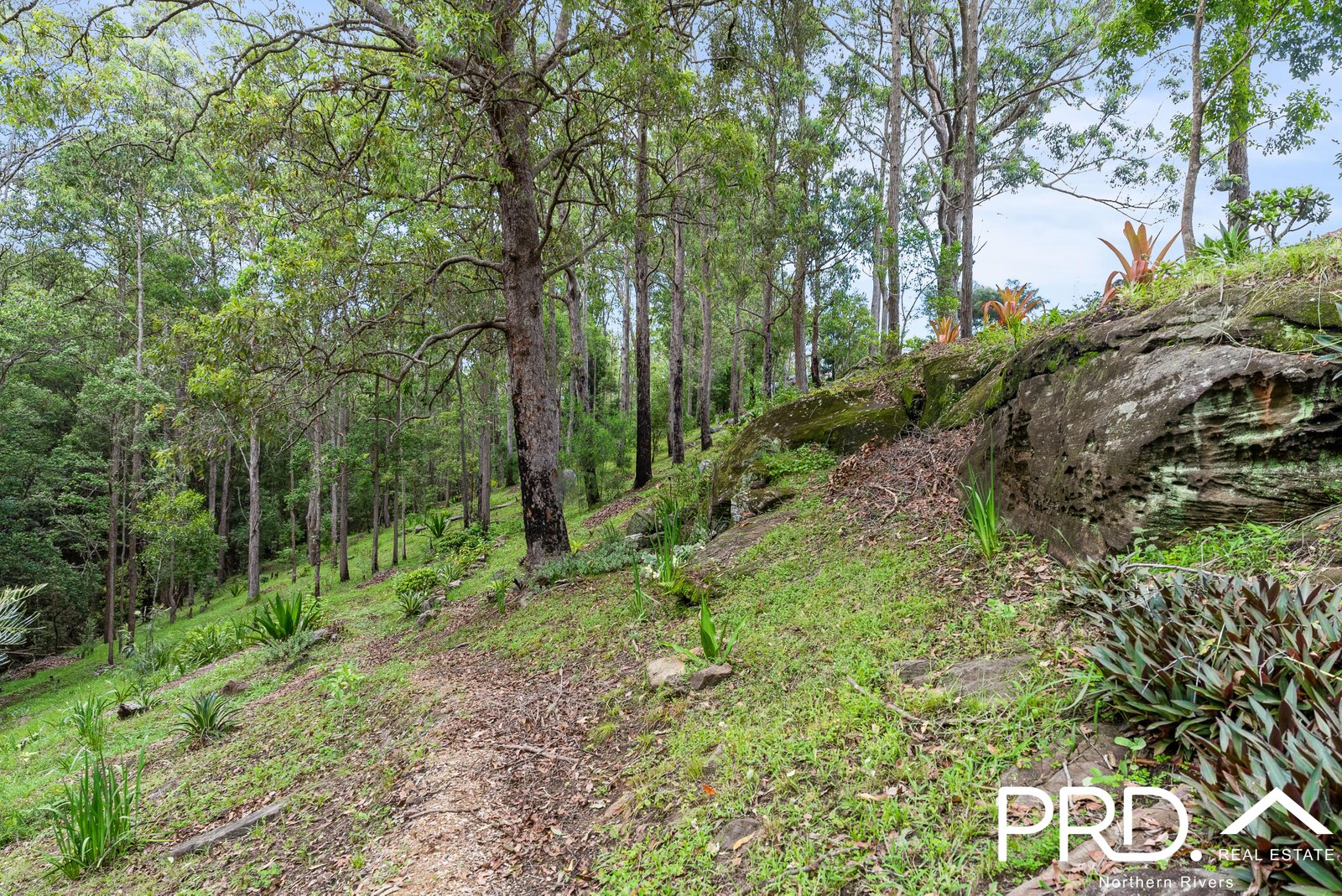 212 Green Pigeon Road KYOGLE 21