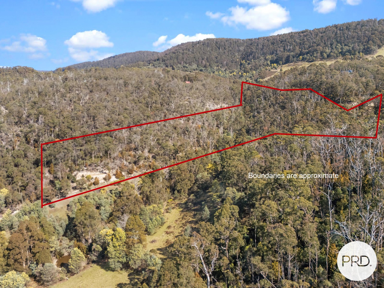 212 Lower Swamp Road LACHLAN 2