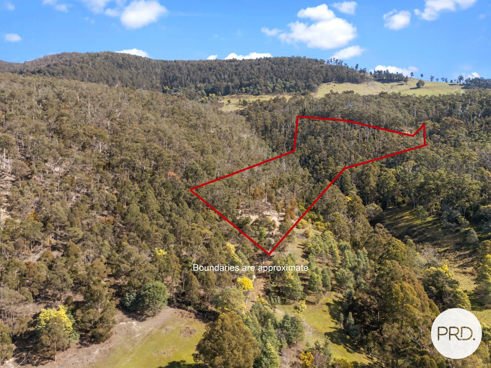 212 Lower Swamp Road LACHLAN 3