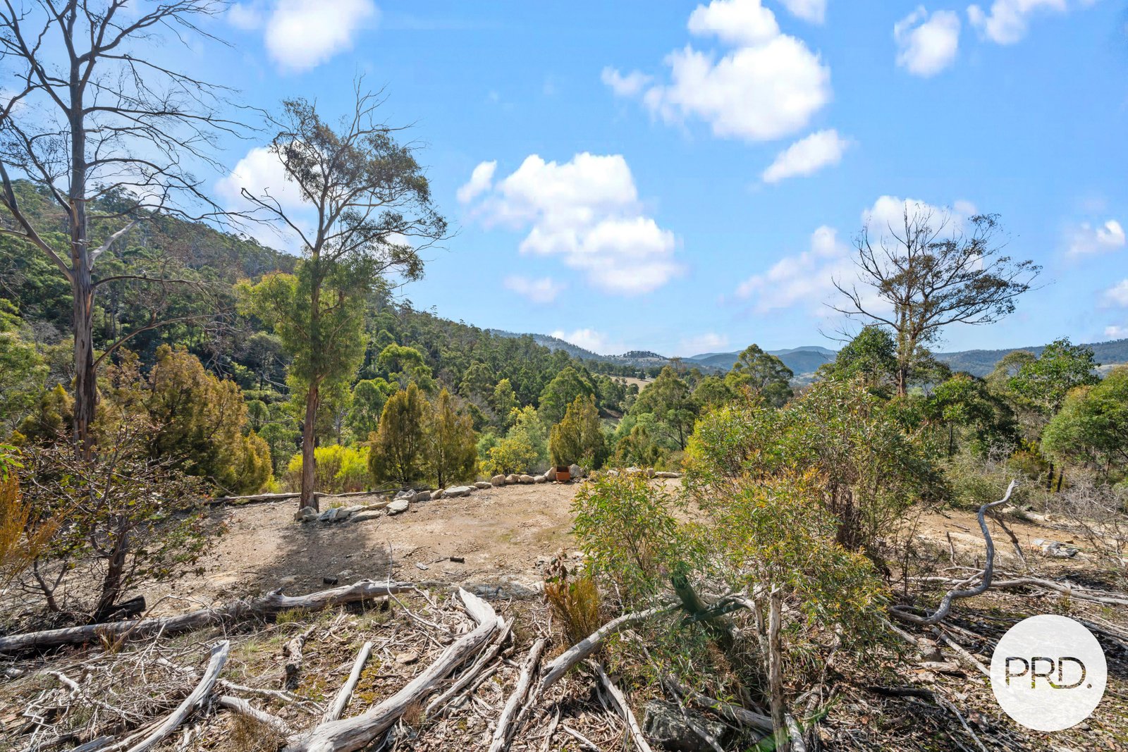 212 Lower Swamp Road LACHLAN 7