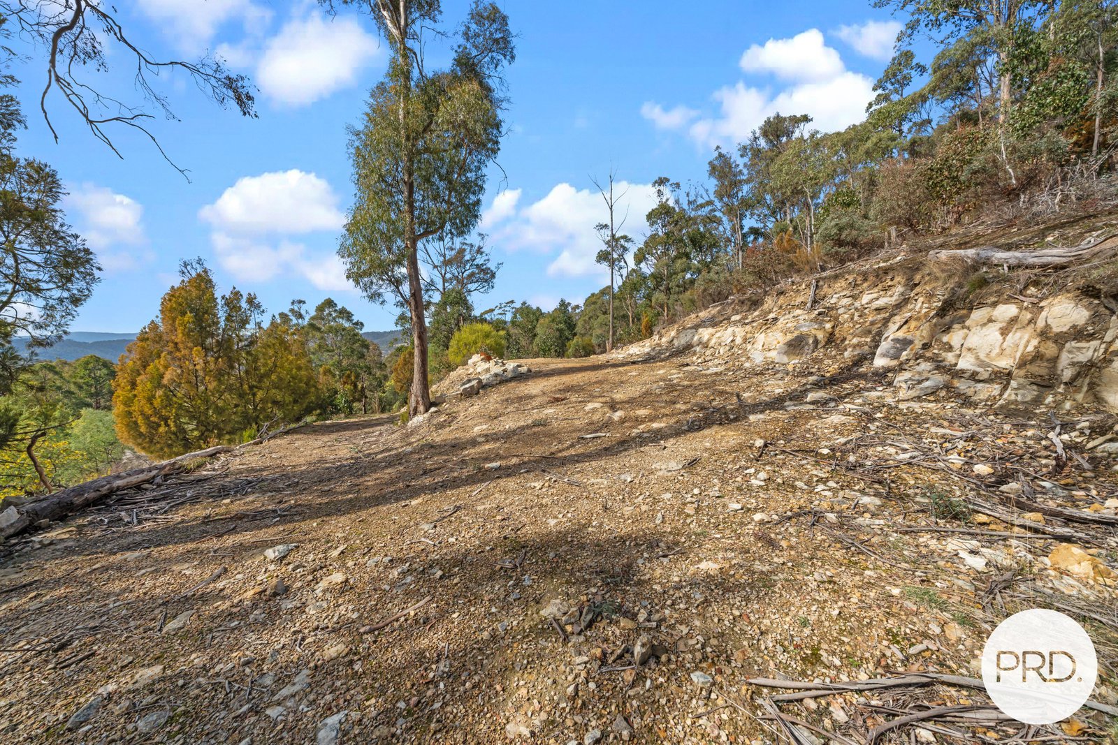 212 Lower Swamp Road LACHLAN 8