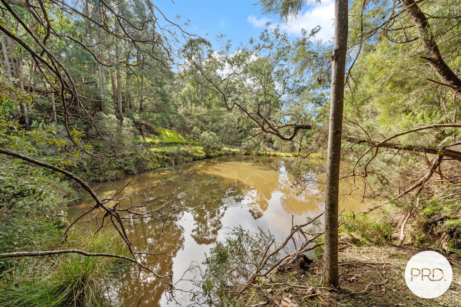 212 Lower Swamp Road LACHLAN 9