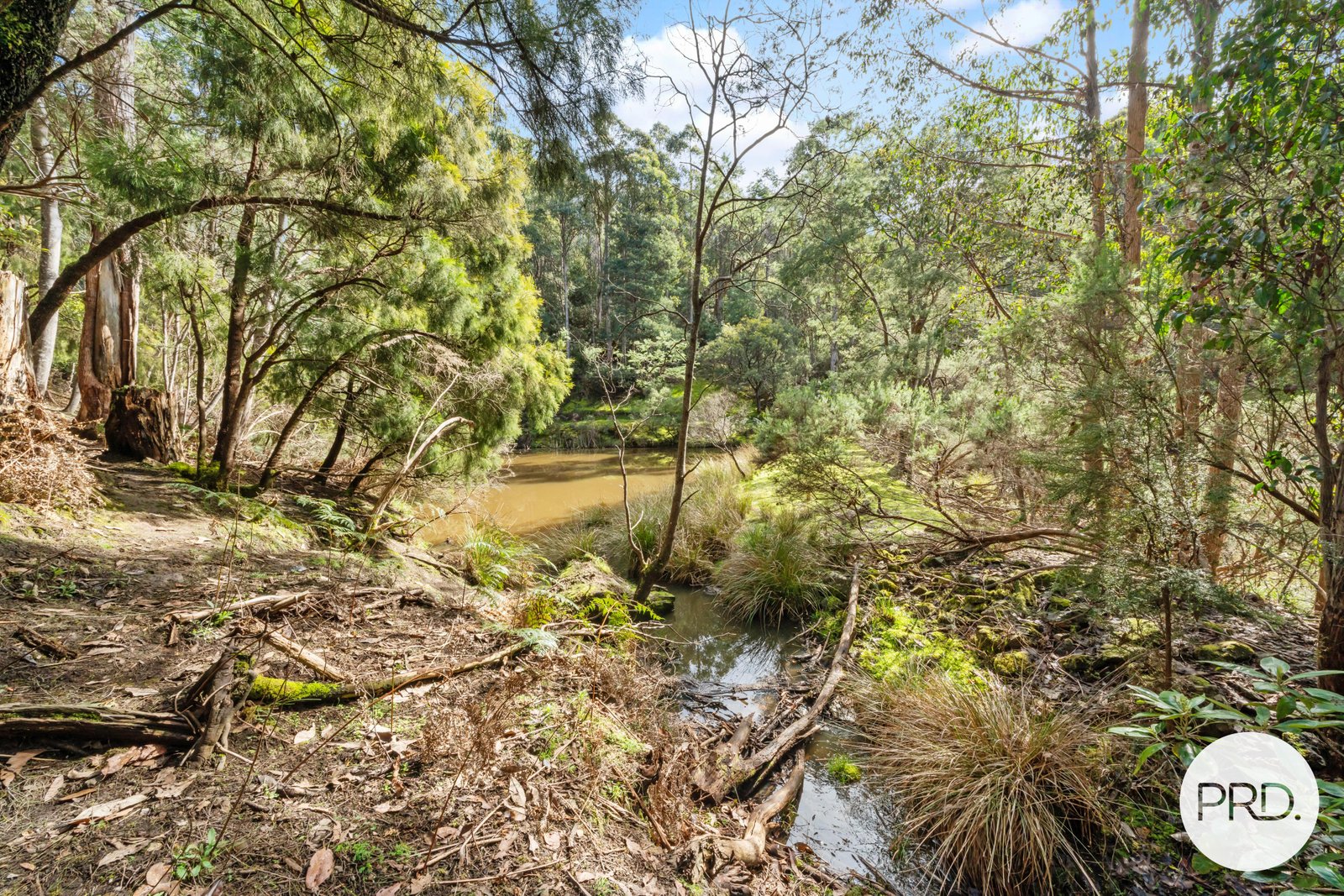 212 Lower Swamp Road LACHLAN 10