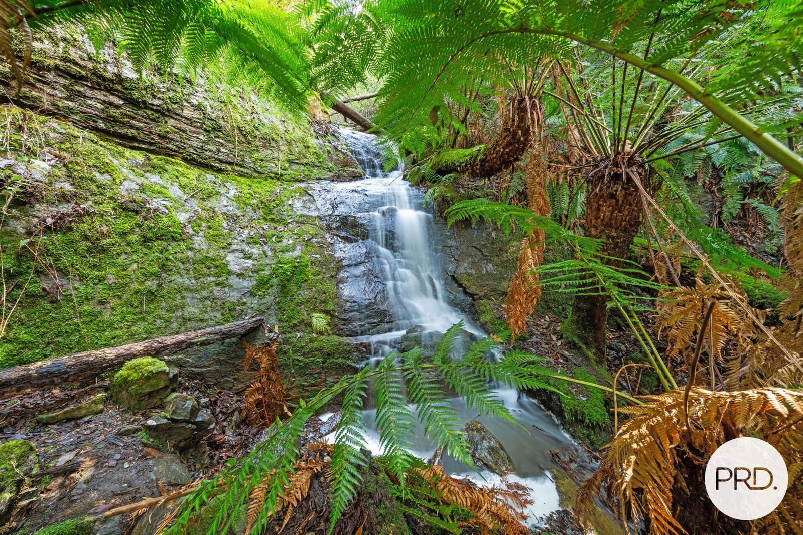 212 Lower Swamp Road LACHLAN 11