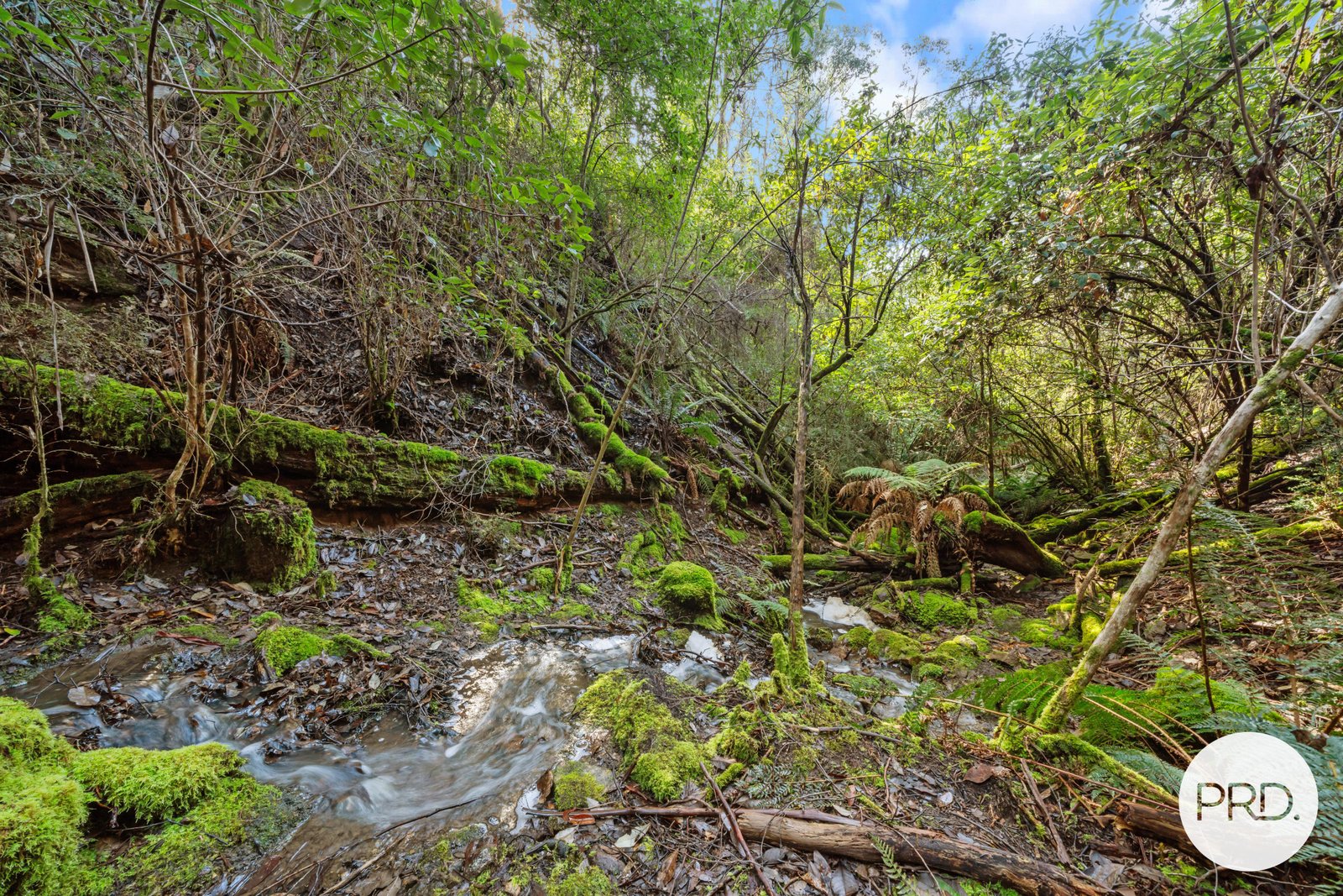 212 Lower Swamp Road LACHLAN 13