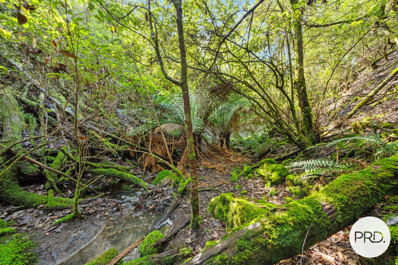 212 Lower Swamp Road LACHLAN 14