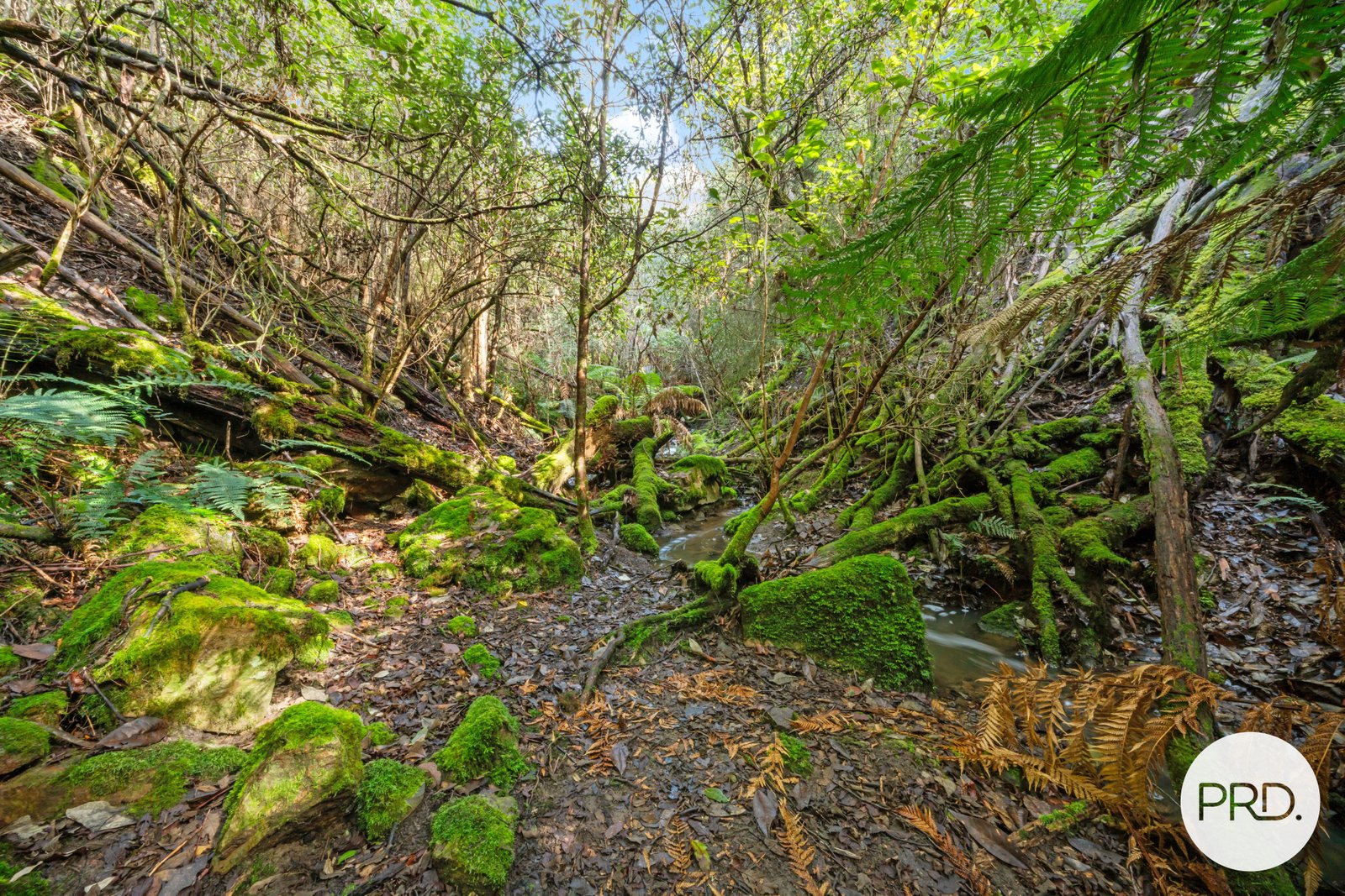 212 Lower Swamp Road LACHLAN 15