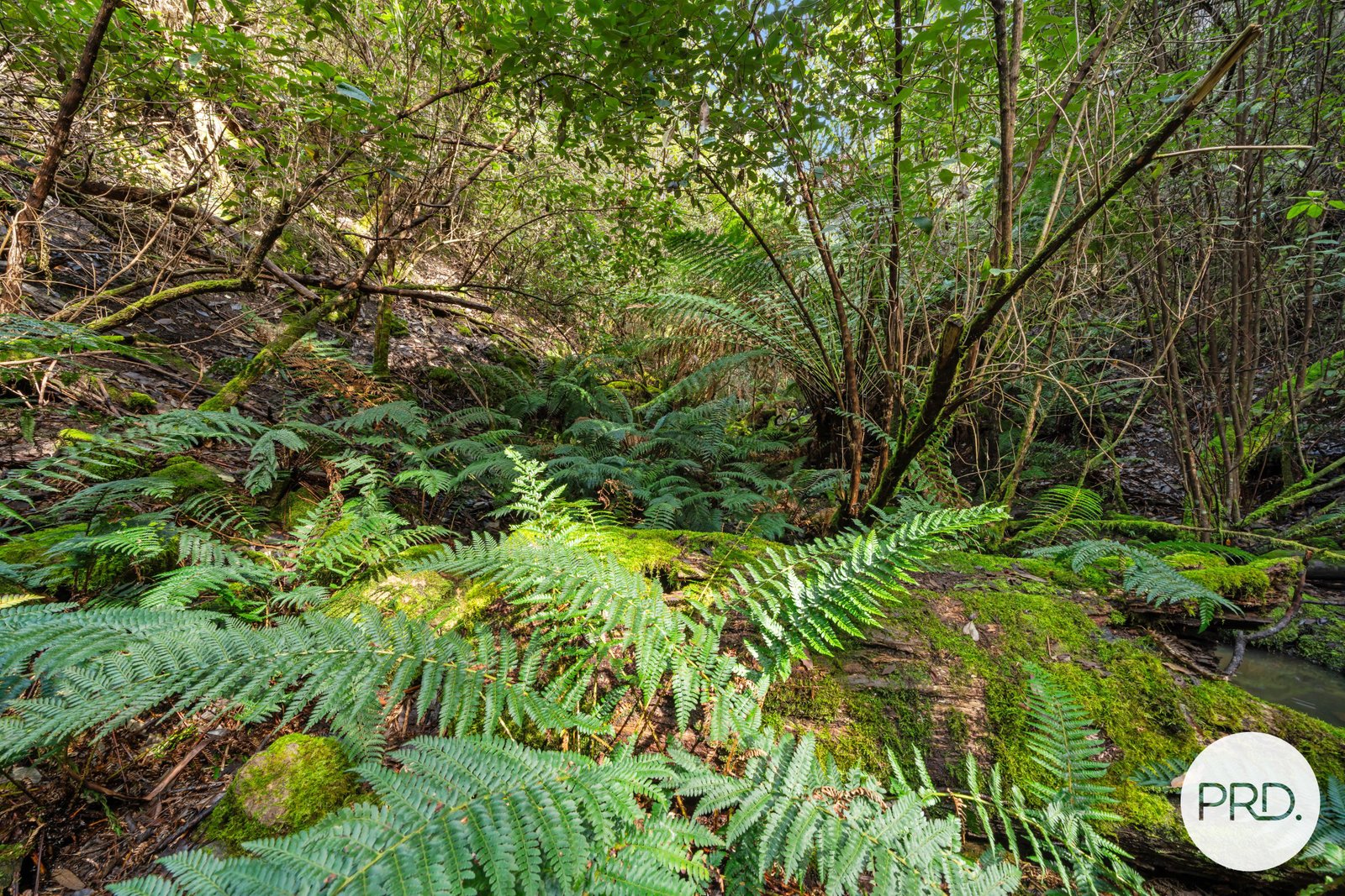 212 Lower Swamp Road LACHLAN 17