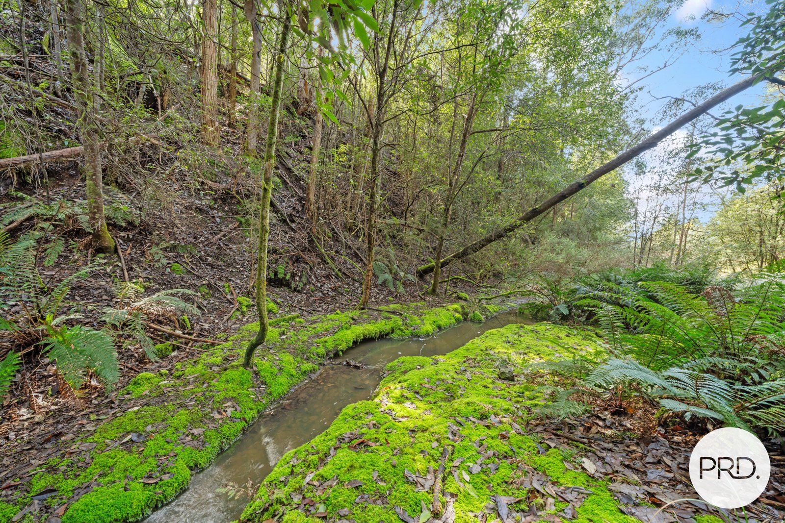 212 Lower Swamp Road LACHLAN 19