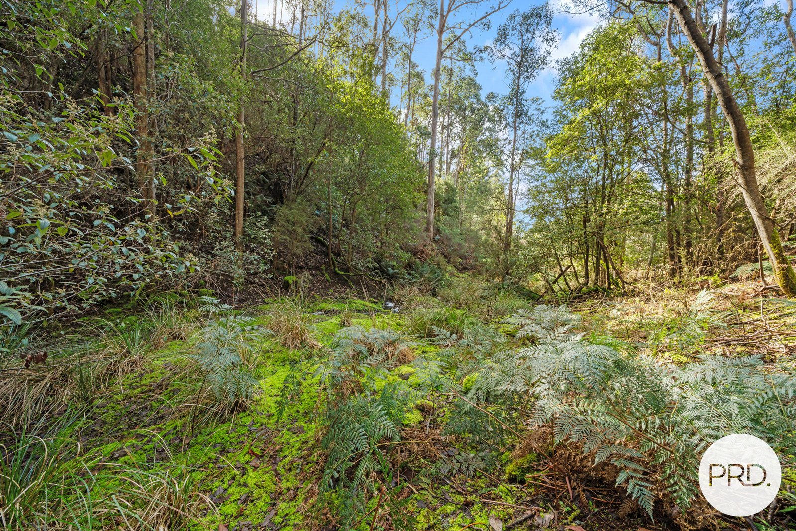 212 Lower Swamp Road LACHLAN 20