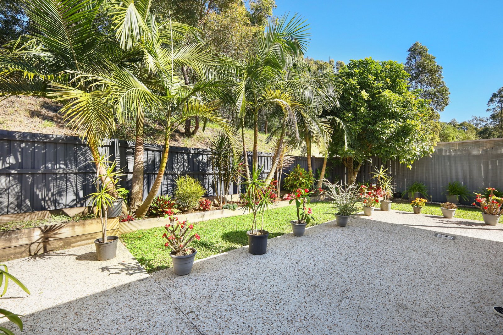 2/12 Pilar Court MOLENDINAR 12