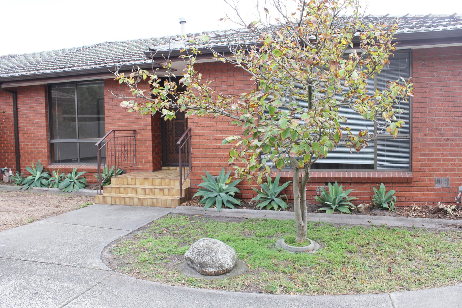 Gallery: 2/12 Rugby Road