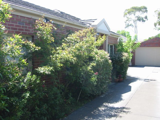 Gallery: 2/129 Dendy Street