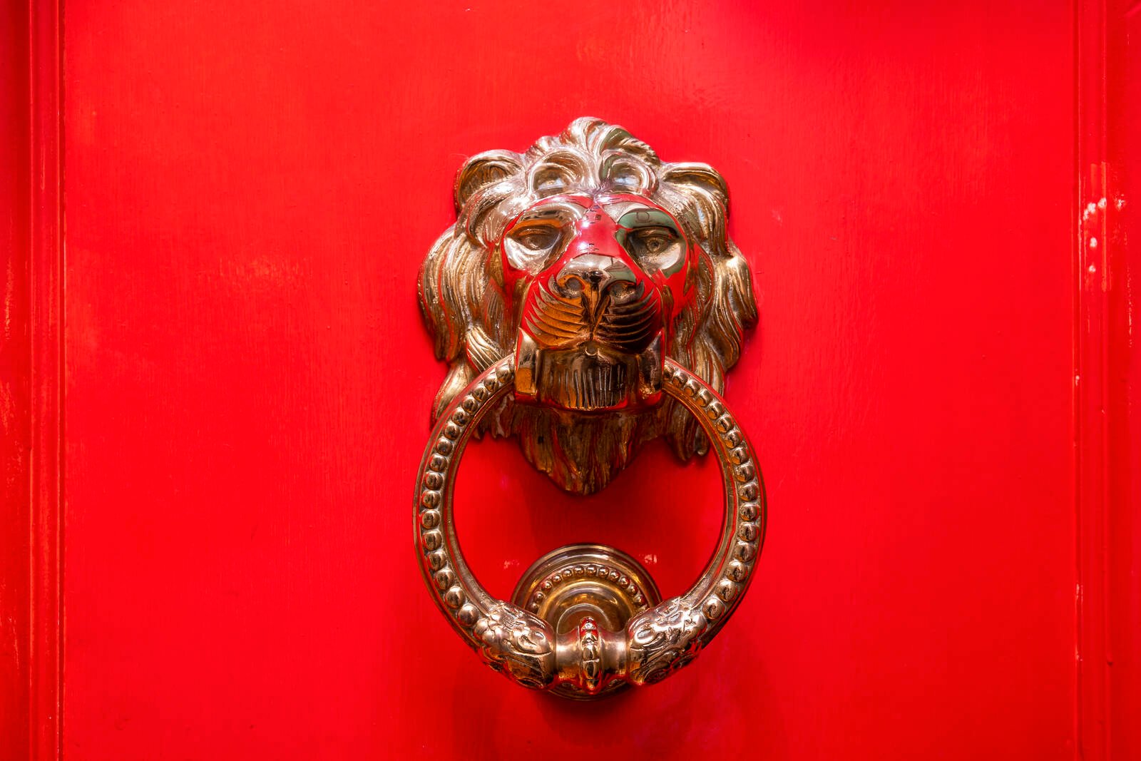 Real Estate and Property in 21/29 Dickens Street, Elwood, VIC