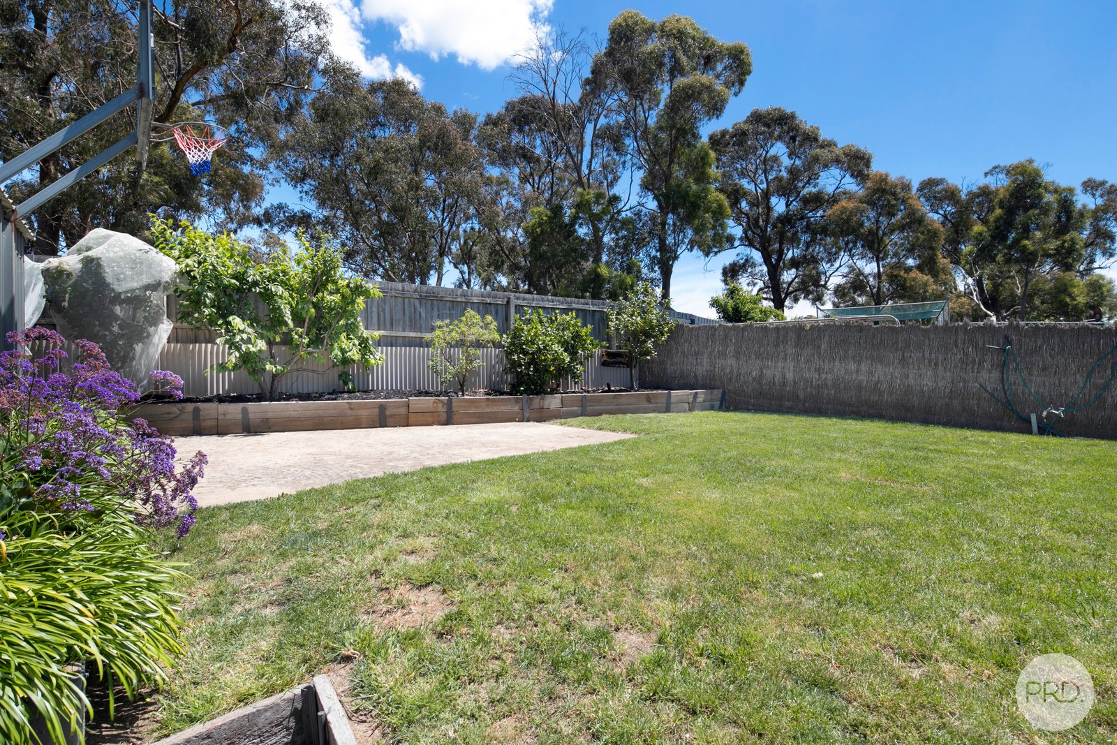 213 Nerrina Road NERRINA 26