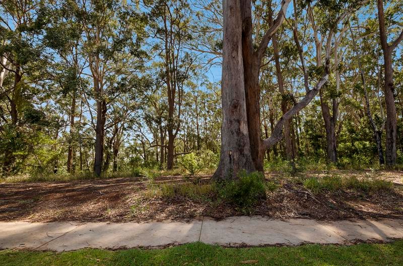 2/131 The Point Drive PORT MACQUARIE 12