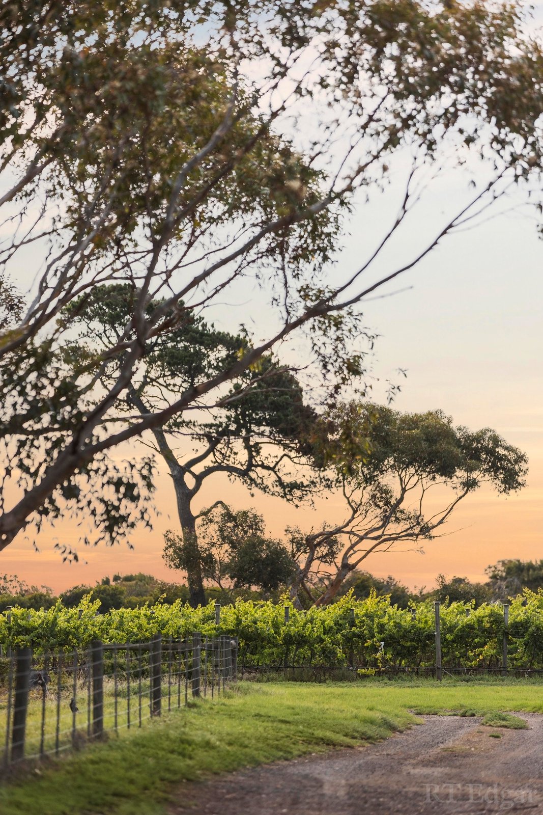 Real Estate and Property in 2135 Bellarine Highway, Point Lonsdale, VIC