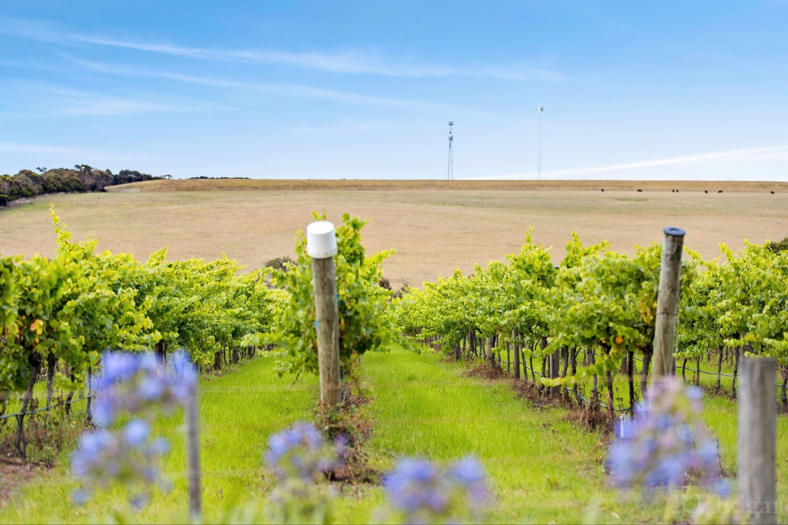 Real Estate and Property in 2135 Bellarine Highway, Point Lonsdale, VIC