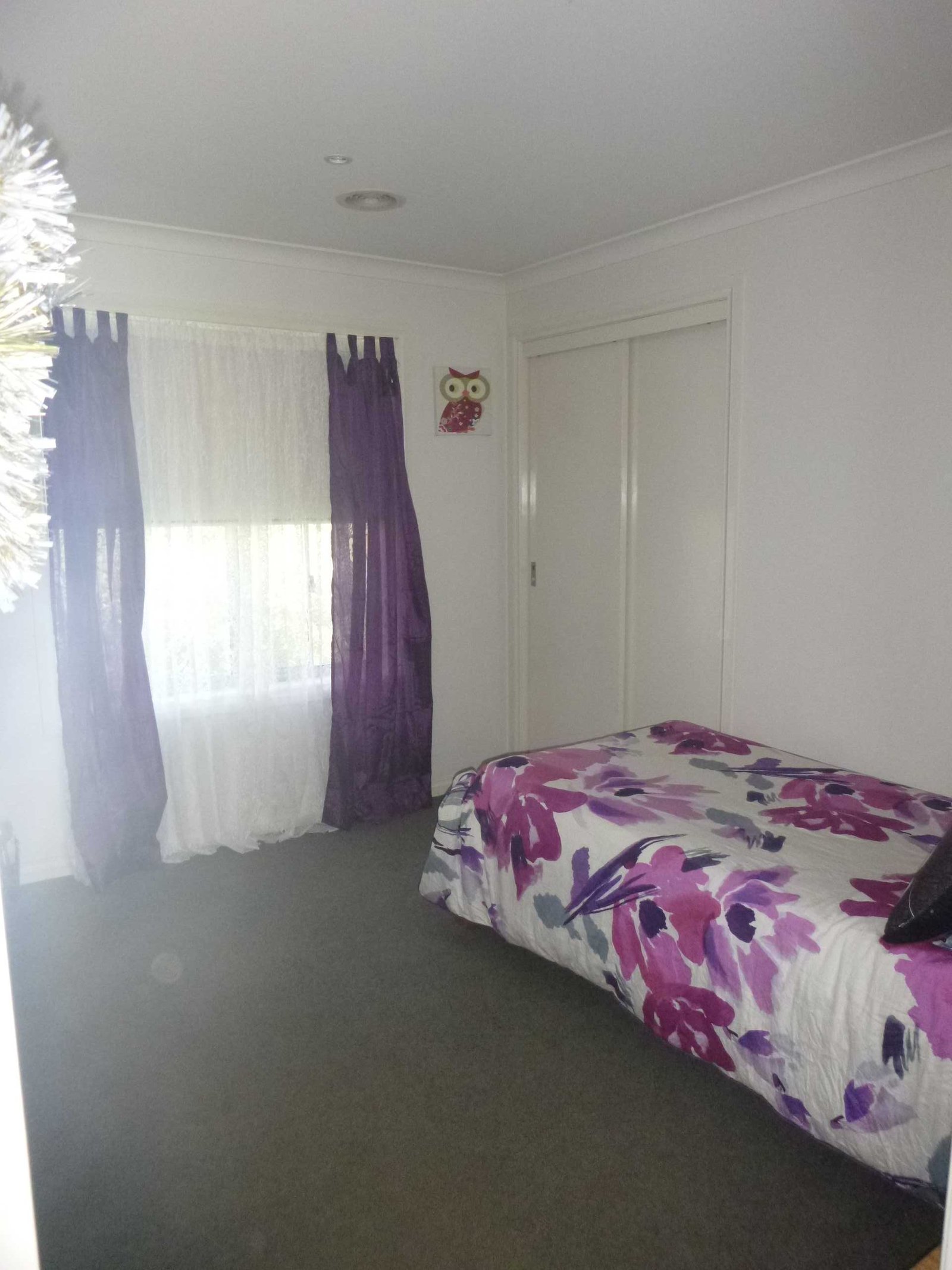 213A Havelock Street SOLDIERS HILL 9