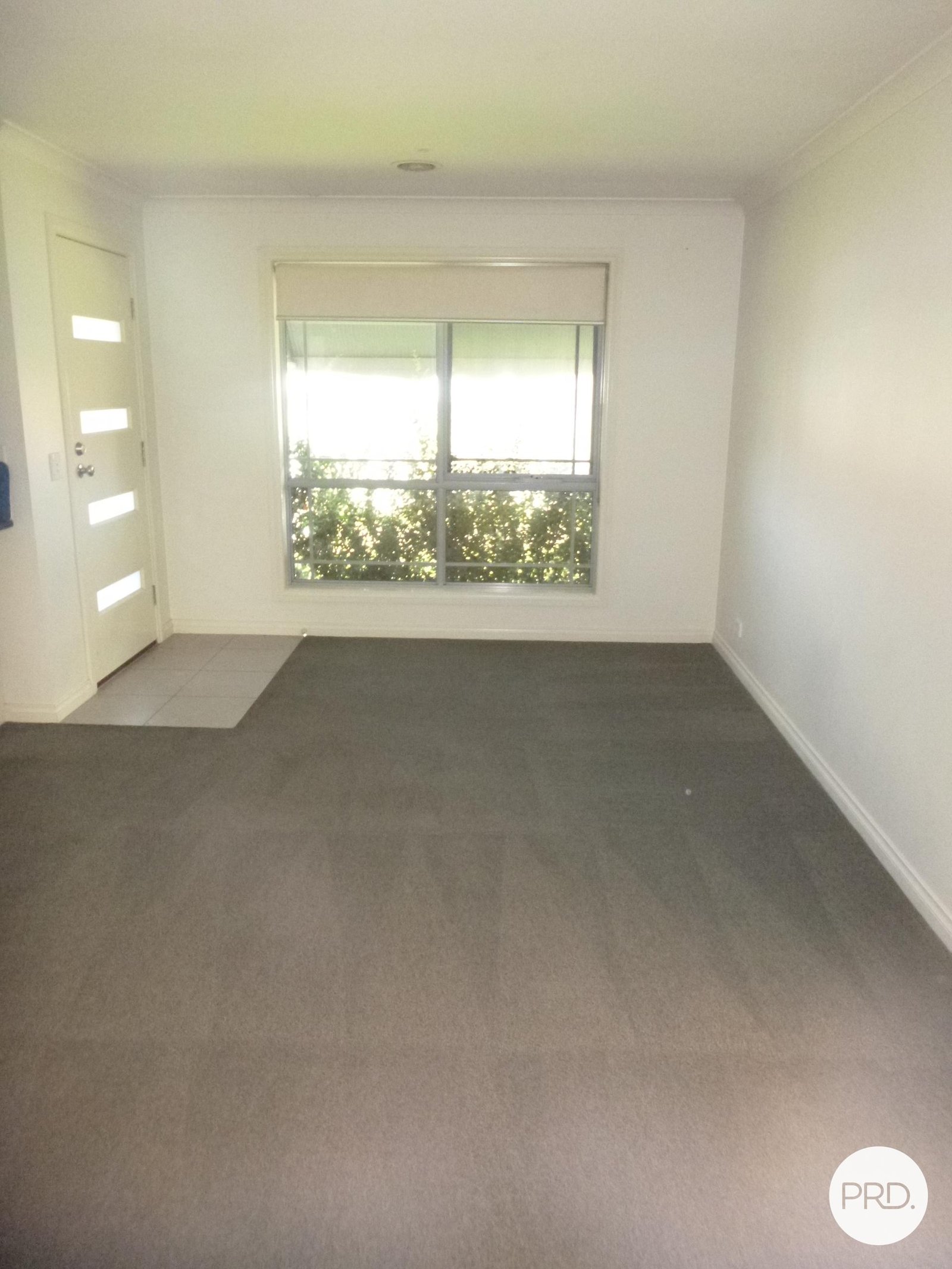 213a Havelock Street SOLDIERS HILL 5