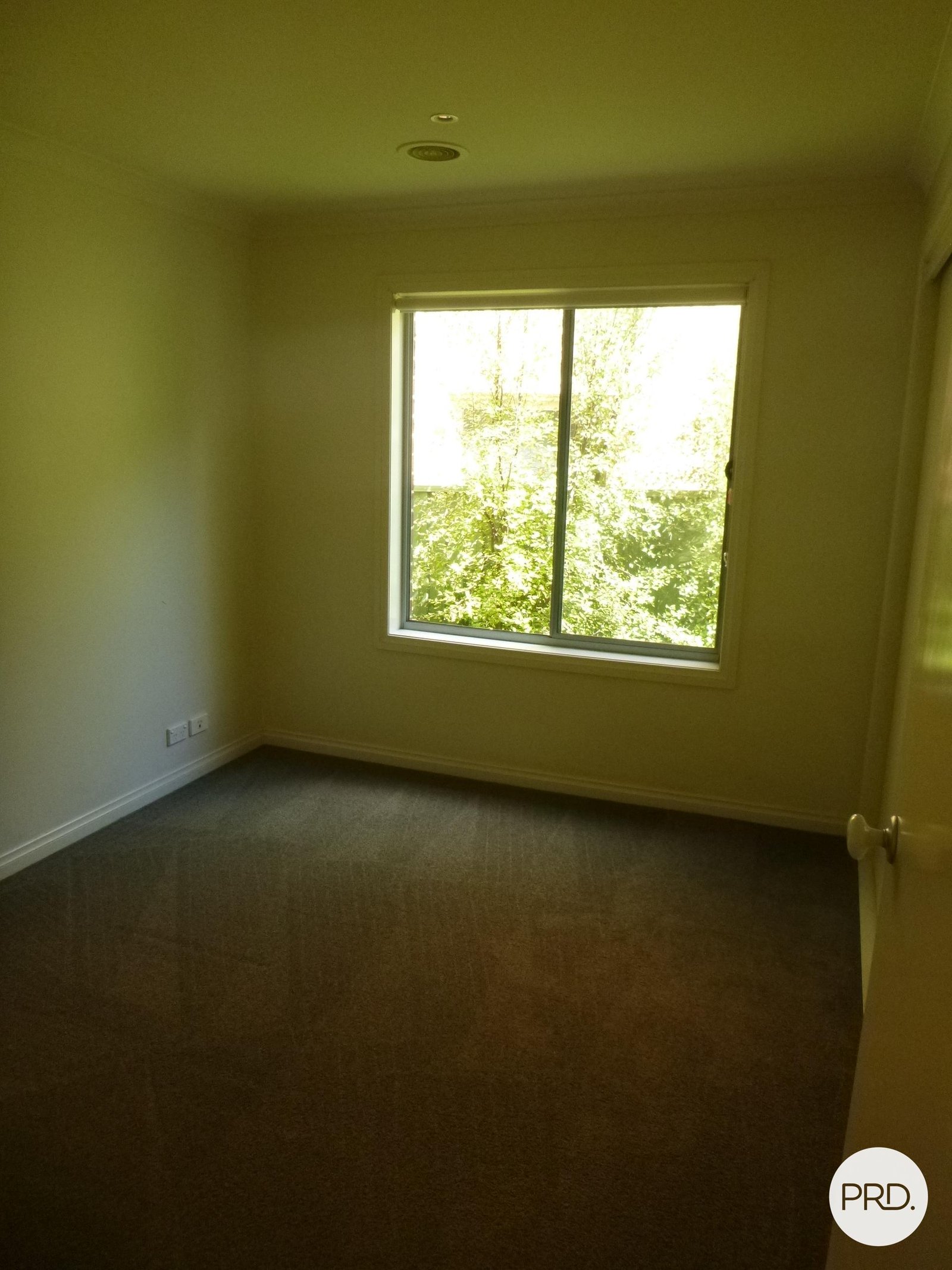 213a Havelock Street SOLDIERS HILL 8