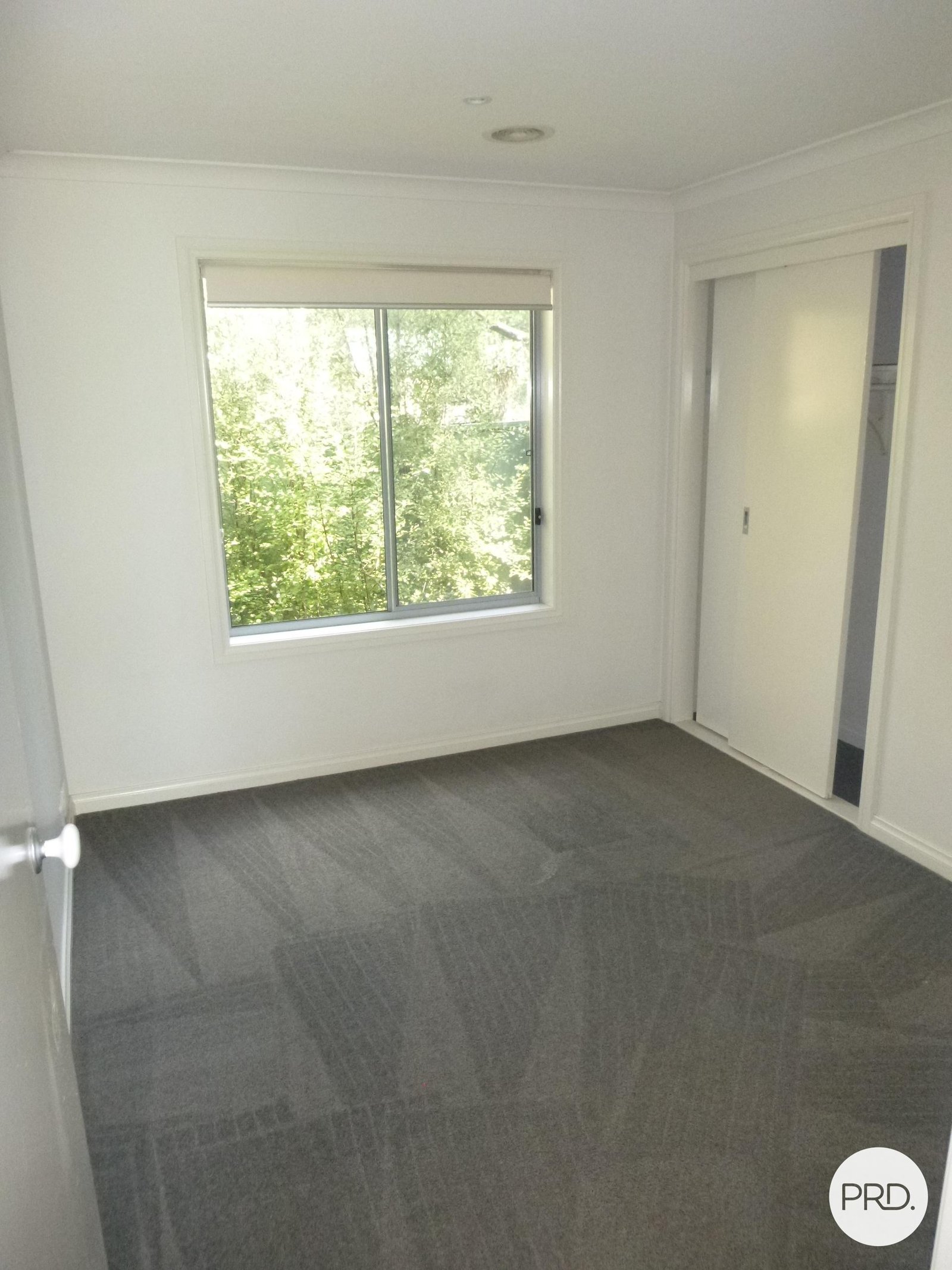 213a Havelock Street SOLDIERS HILL 11