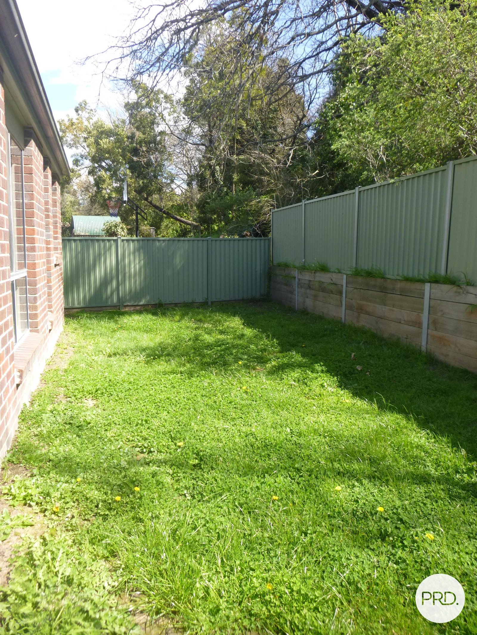 213a Havelock Street SOLDIERS HILL 13