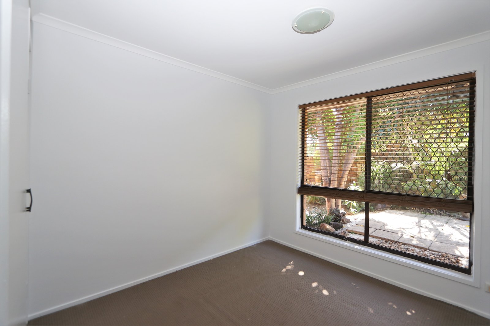 214 Cotlew Street ASHMORE 11