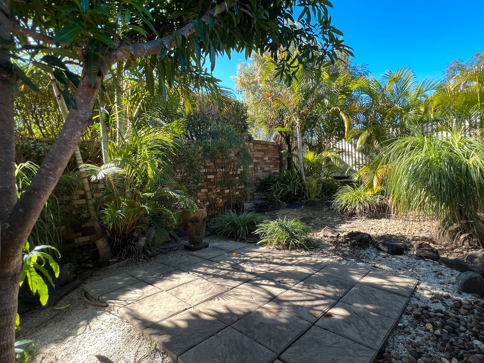 214 Cotlew Street ASHMORE 22